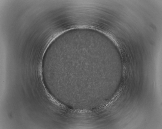 X0000112000895200908241430