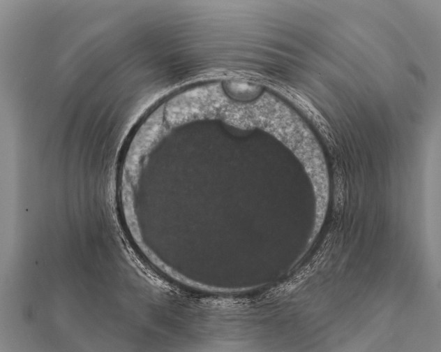 X0000112000896200908241430