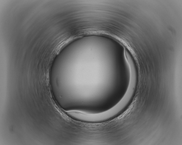 X0000112000897200908241430