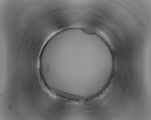 X0000112000900200908241430