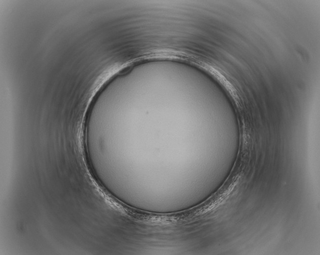 X0000112000901200908241430