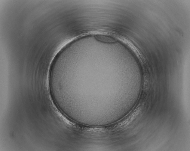 X0000112000902200908241430