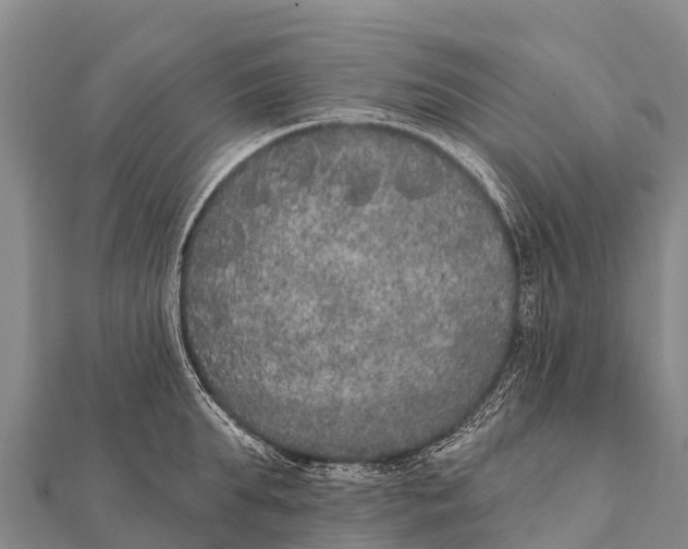 X0000112000903200908241430