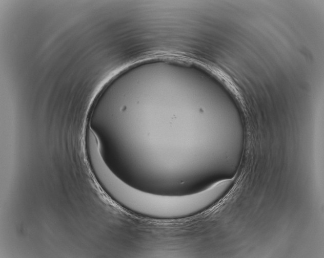 X0000112000904200908241430