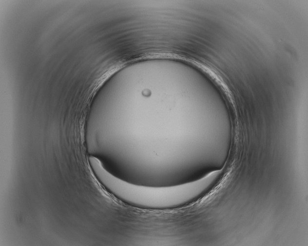 X0000112000905200908241430