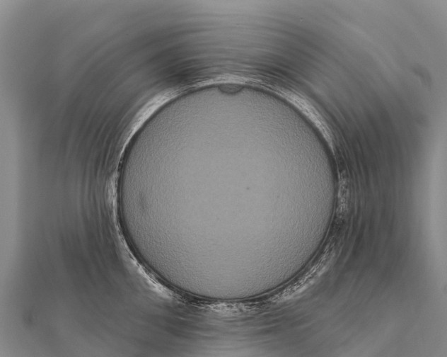 X0000112000906200908241430