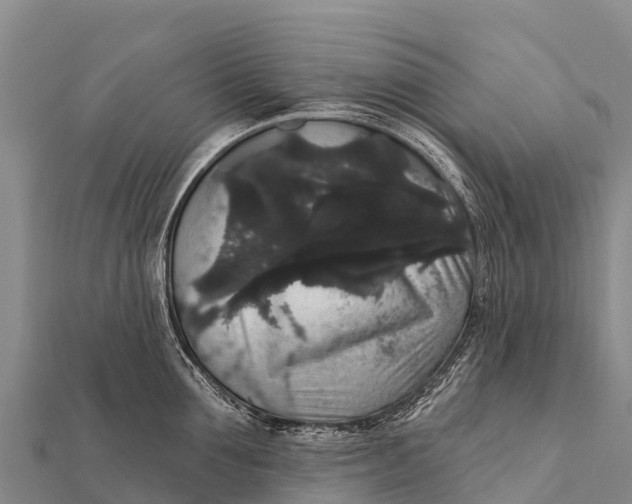 X0000112000907200908241430