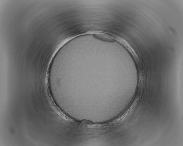 X0000112000908200908241430