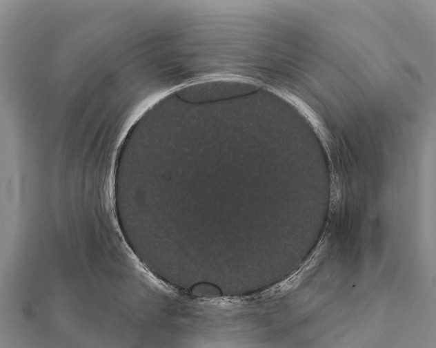 X0000112000910200908241430