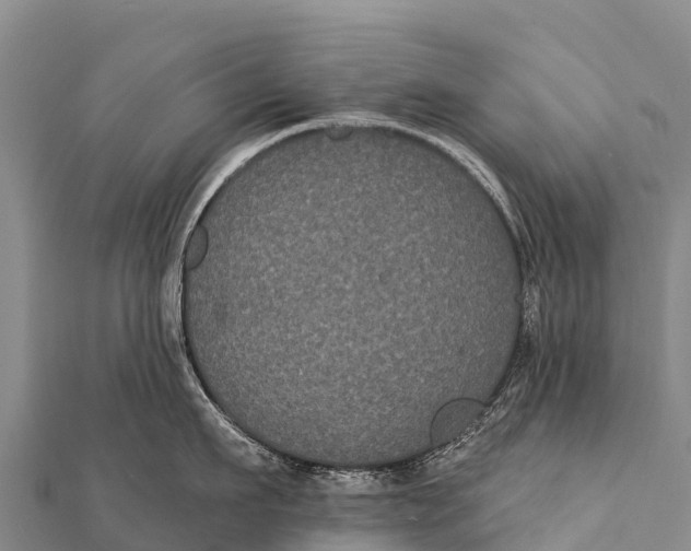 X0000112000911200908241430