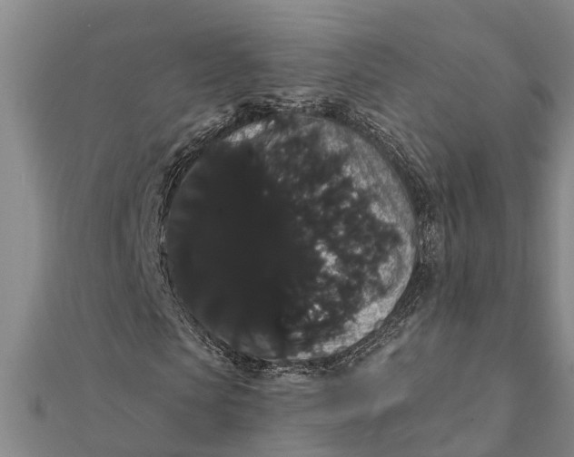 X0000112000913200908241429