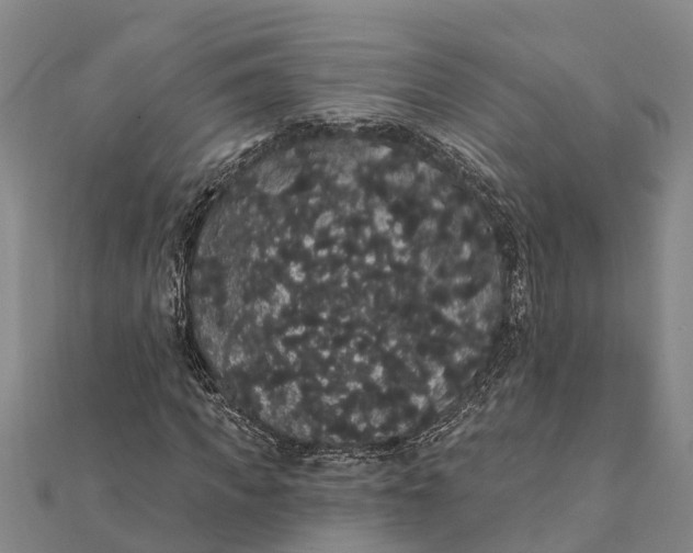 X0000112000917200908241429