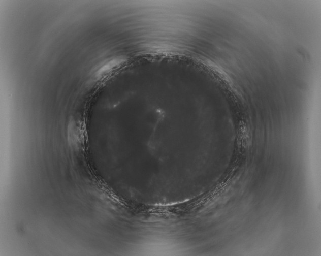 X0000112000918200908241429