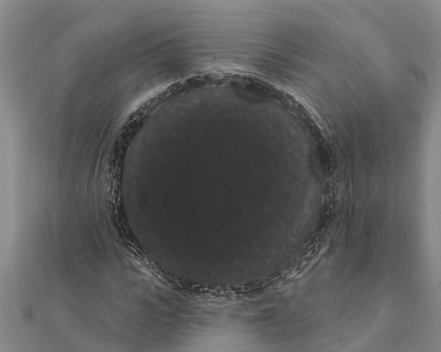 X0000112000919200908241429