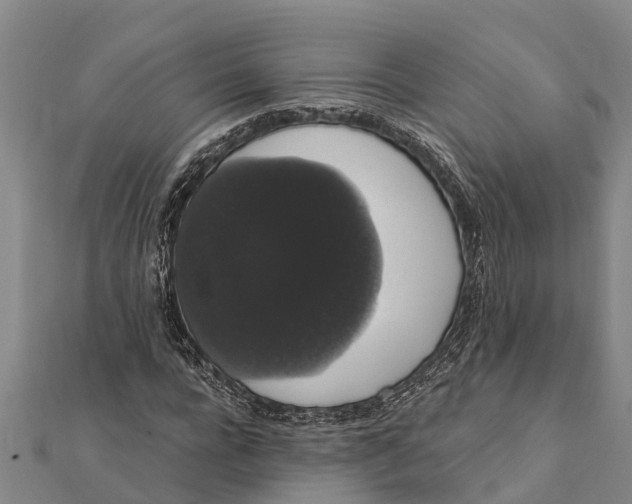 X0000112000920200908241429