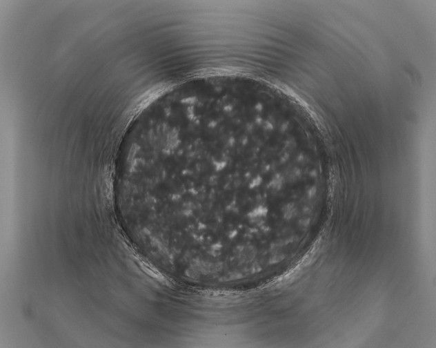 X0000112000921200908241429