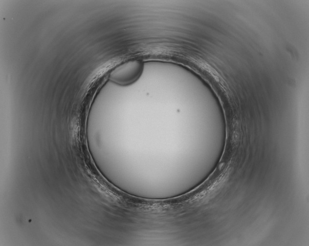 X0000112000922200908241429