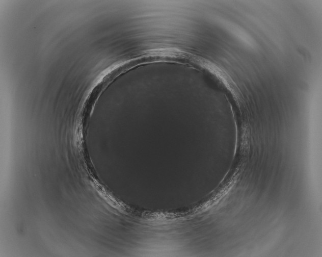 X0000112000923200908241429