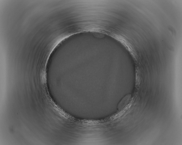 X0000112000924200908241429