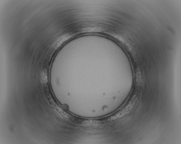 X0000112000929200908241430