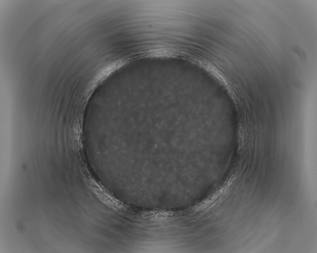 X0000112000930200908241430