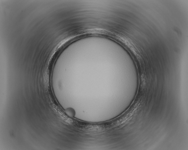 X0000112000931200908241430