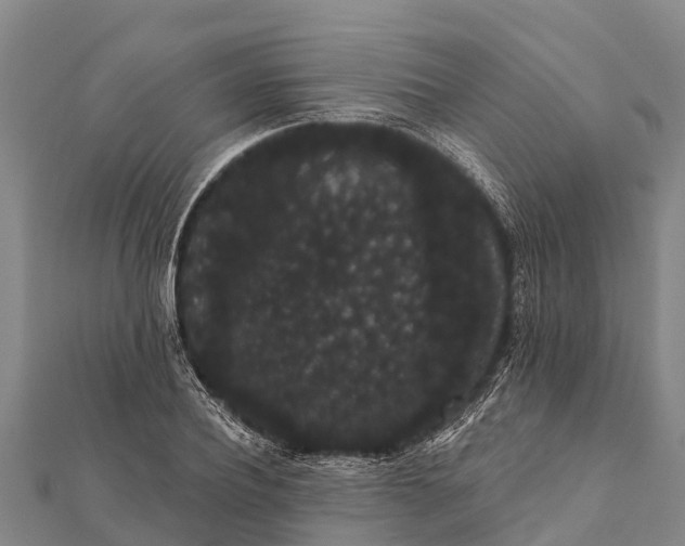 X0000112000932200908241430