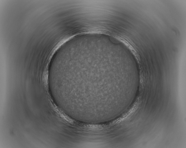 X0000112000933200908241430