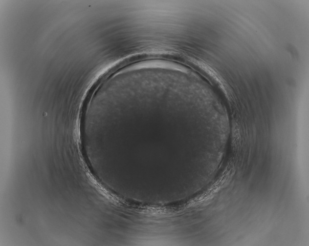 X0000112000935200908241430