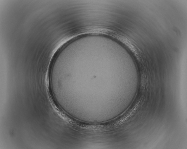 X0000112000936200908241430