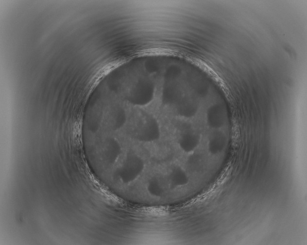 X0000112000937200908241430