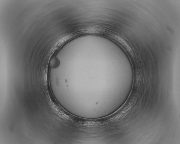 X0000112000938200908241430