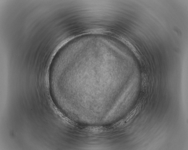 X0000112000939200908241430