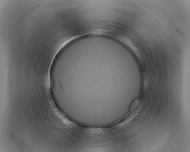 X0000112000940200908241430