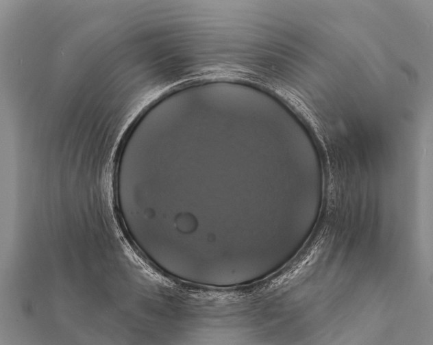 X0000112000941200908241430