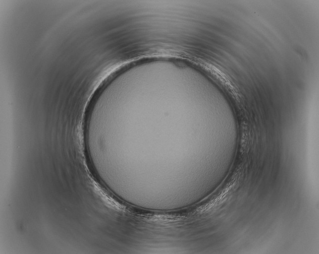 X0000112000942200908241430