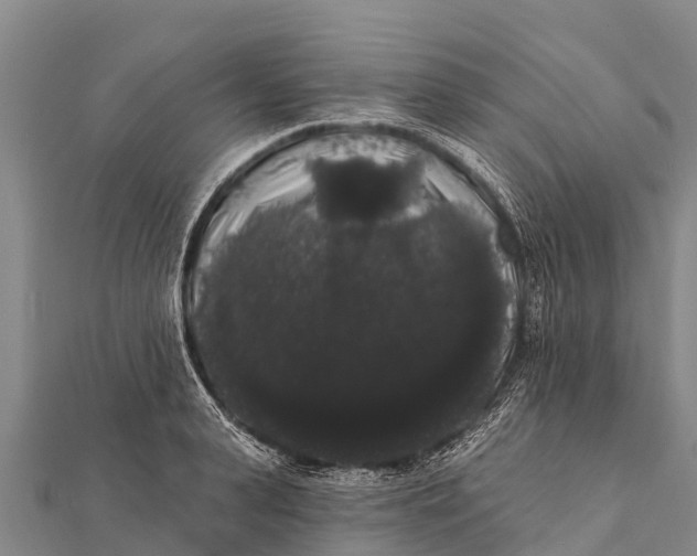 X0000112000943200908241430