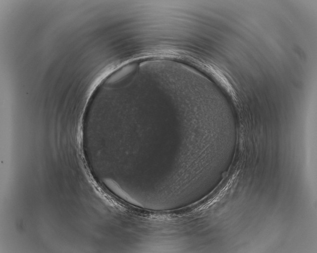 X0000112000944200908241430