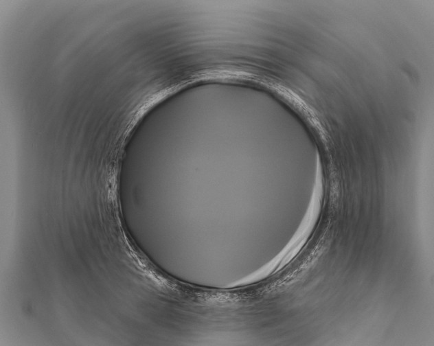 X0000112000945200908241430