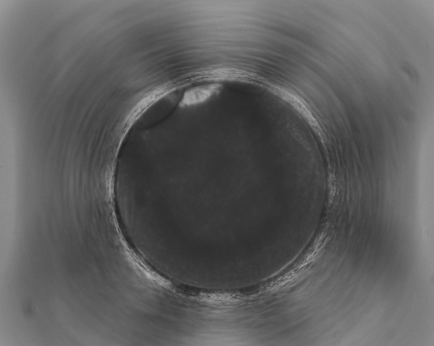 X0000112000946200908241430