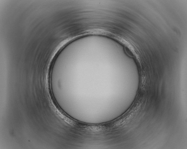 X0000112000947200908241430