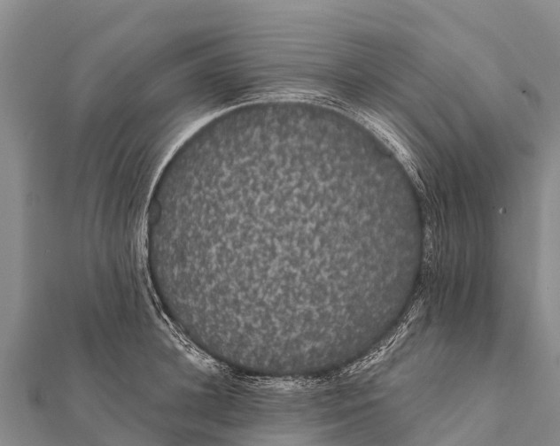 X0000112000948200908241430