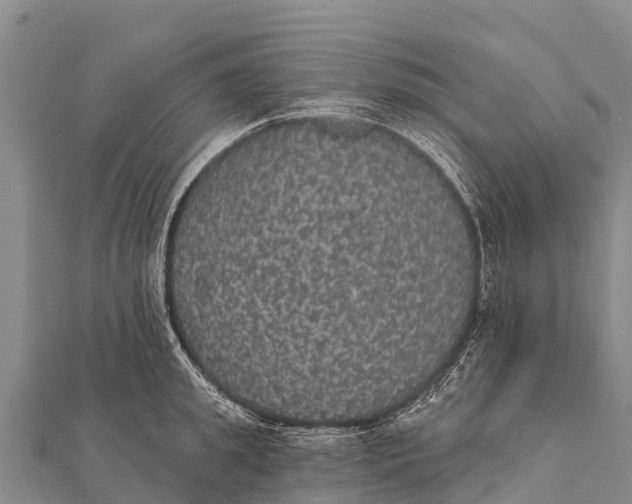 X0000112000949200908241430