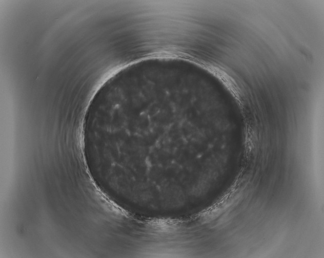 X0000112000950200908241430