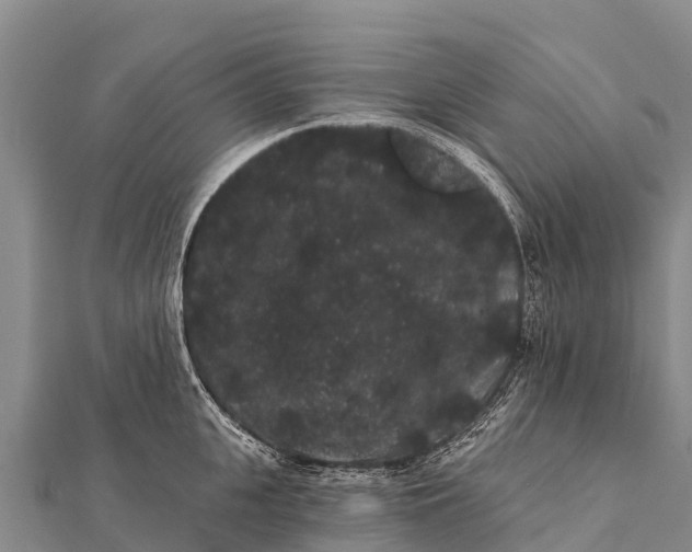 X0000112000951200908241430