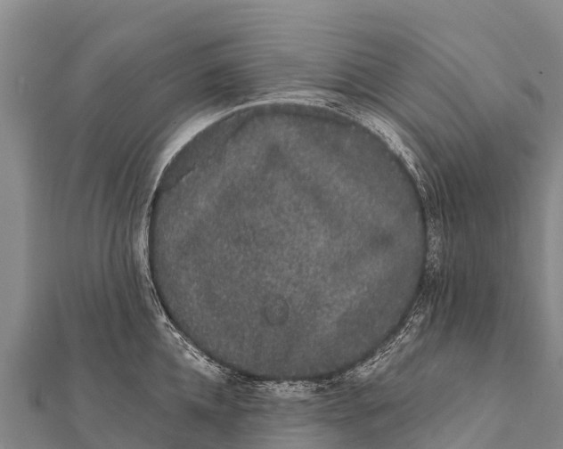 X0000112000952200908241430