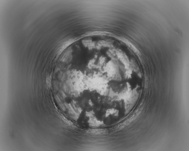 X0000112000953200908241430