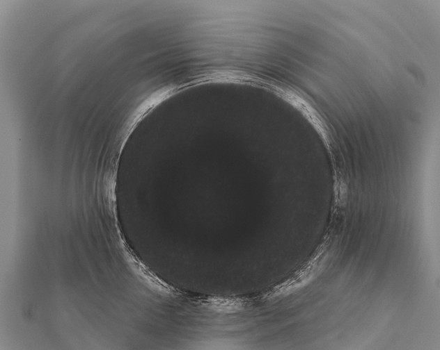 X0000112000954200908241430