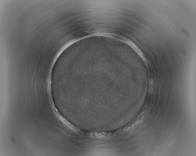 X0000112000955200908241430