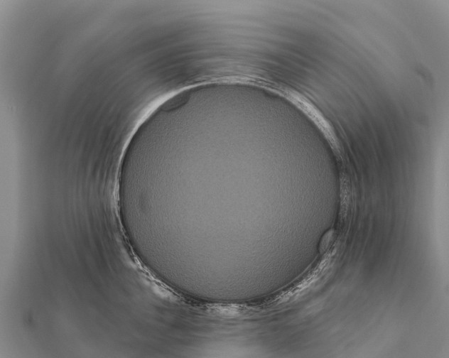 X0000112000956200908241430